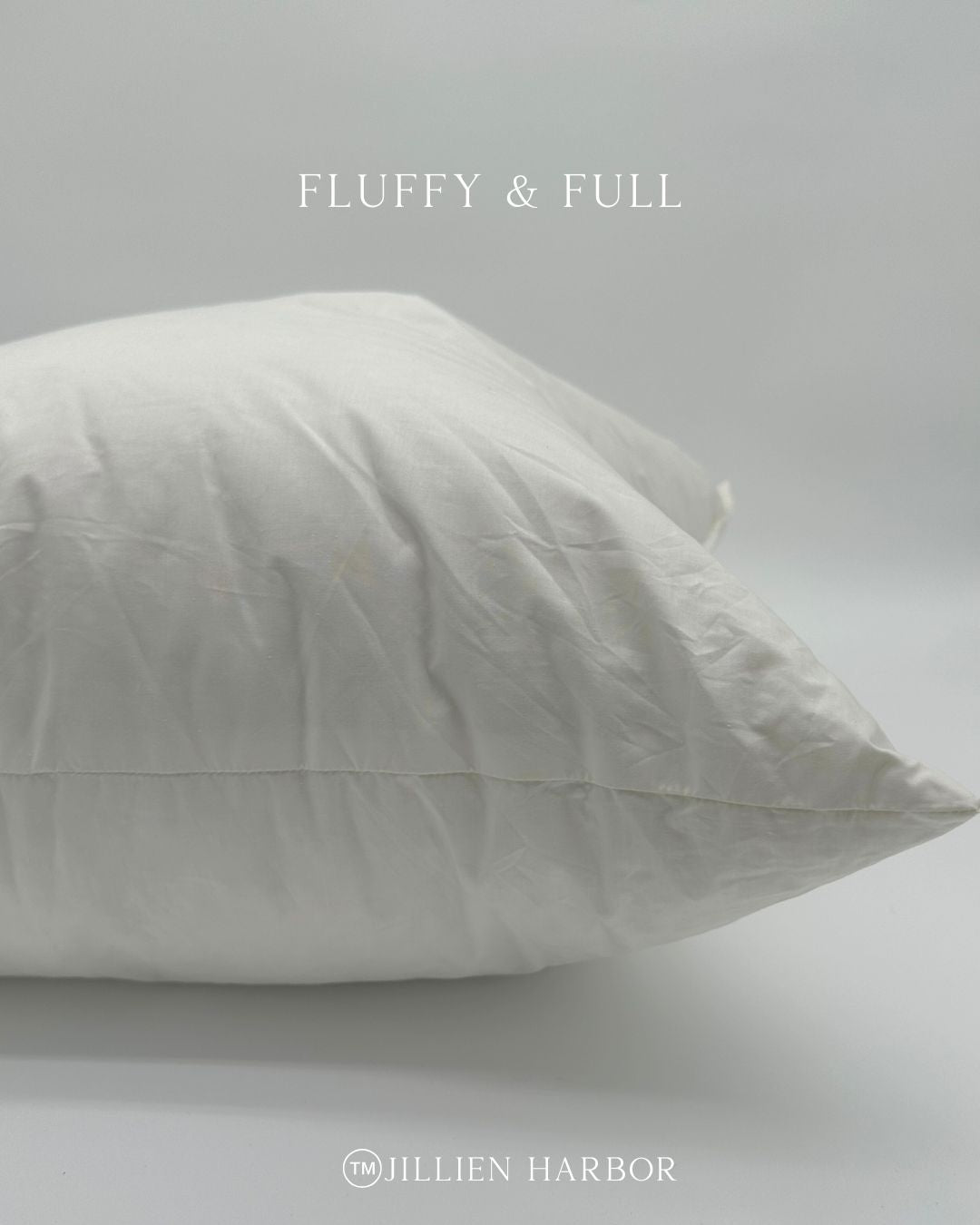 Pillow Insert - 22